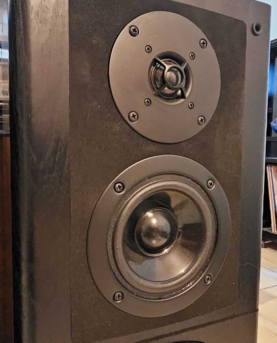 Boxe Technics SB-EX3 Bi-Wire, 3 cai, bass reflex