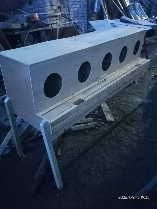 Петух  орпингтон