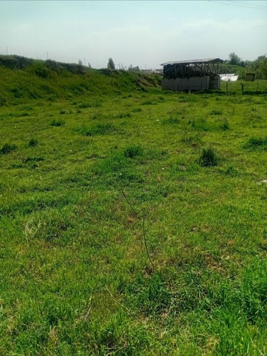 Yer Uchastkasi sotiladi! Narx sotixiga yozilgan