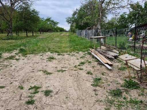 intravilan cu livada de pruni 30 de ari viile satu mare accept schimb - Vedere 3