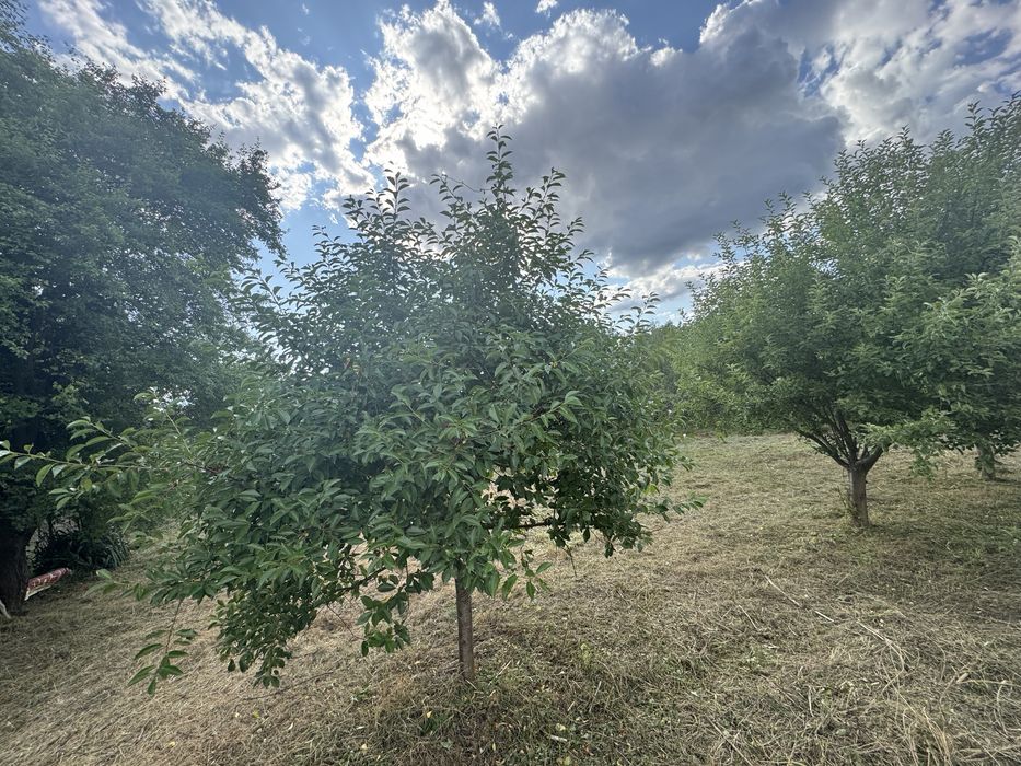 Продавам Парцел село Крайници