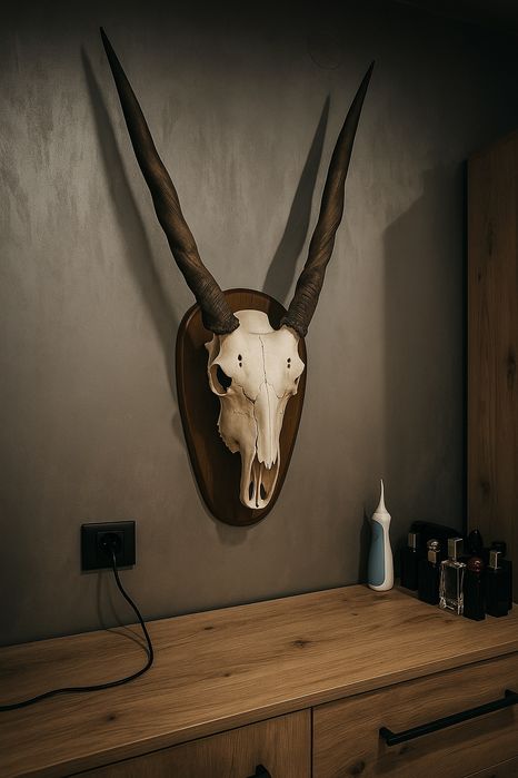 Последна ЦЕНА 500 лв. Ловен трофей.Антилопа Еланд