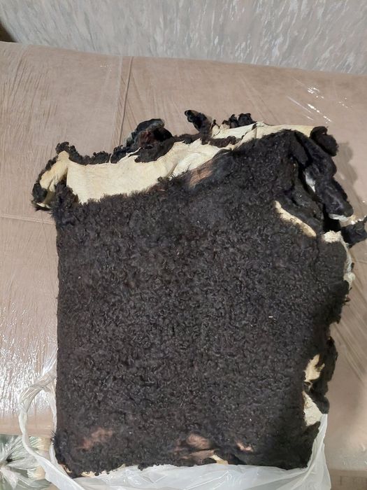 Каракуля шкурки натуральные