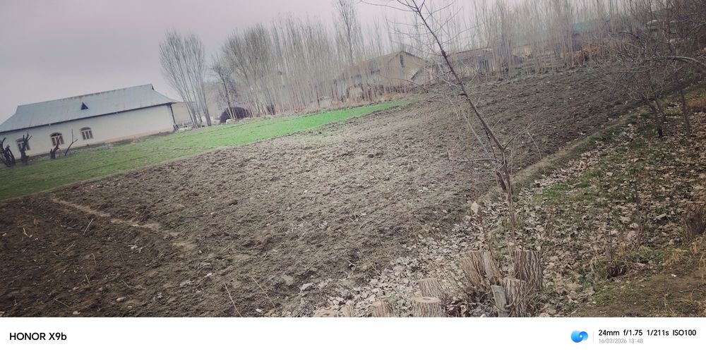 20 sotix yer maydoni