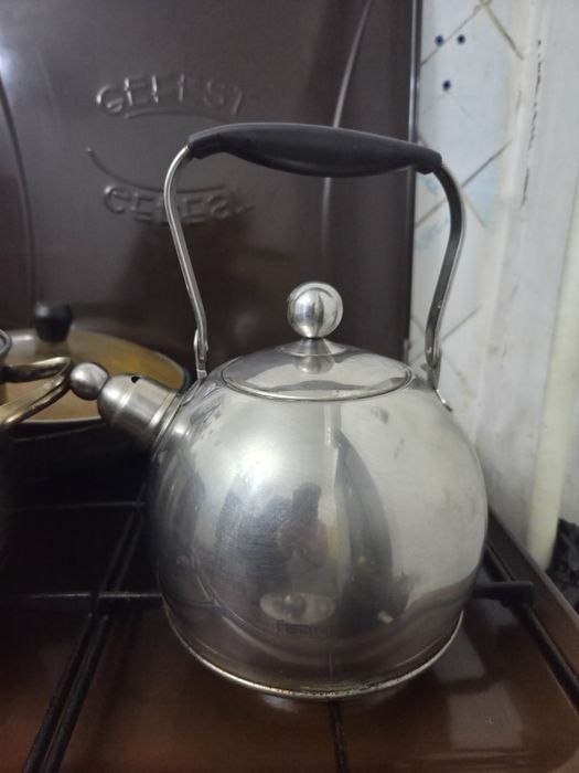 Чайник Fiszman европейский.