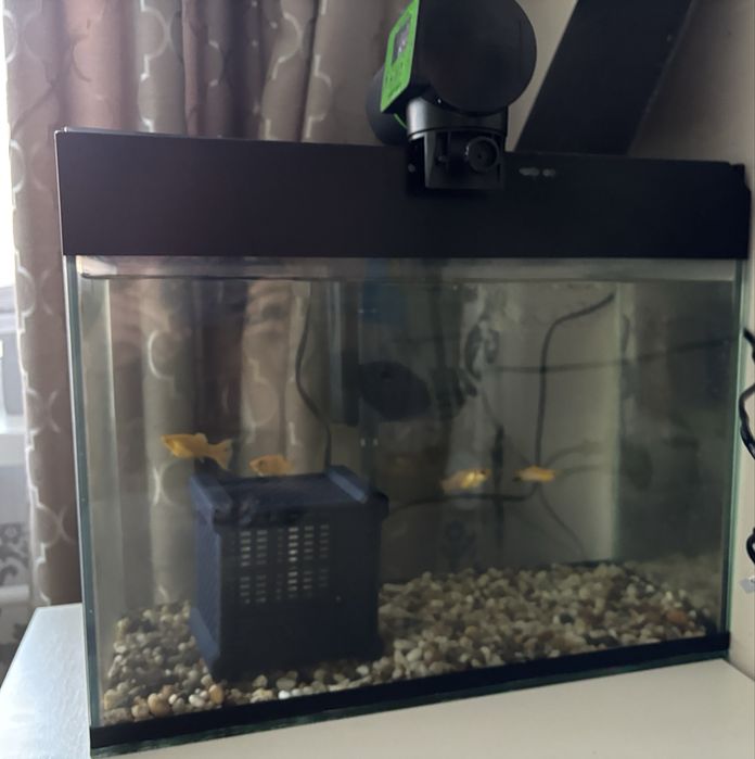 Аквариум на 30 литров с рыбами