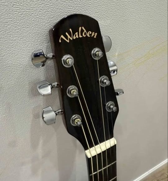 Акустическая гитара Walden D350