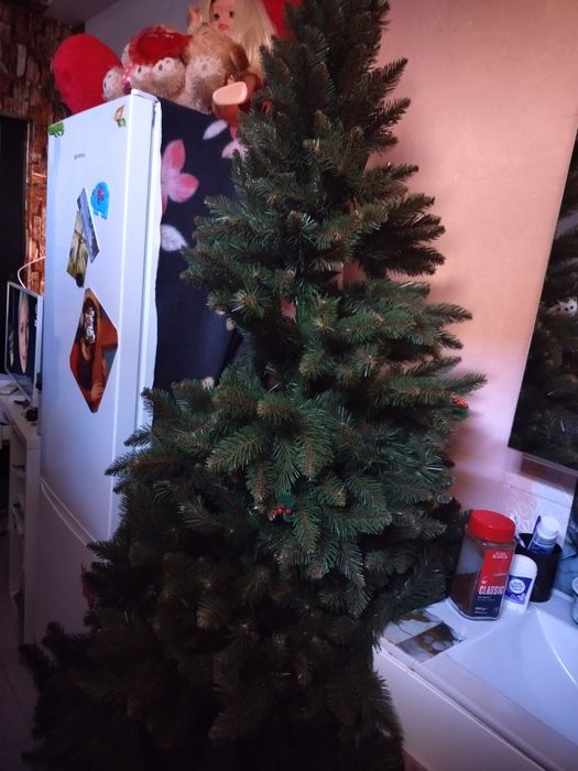 Brad (190 cm) bogat în crengi