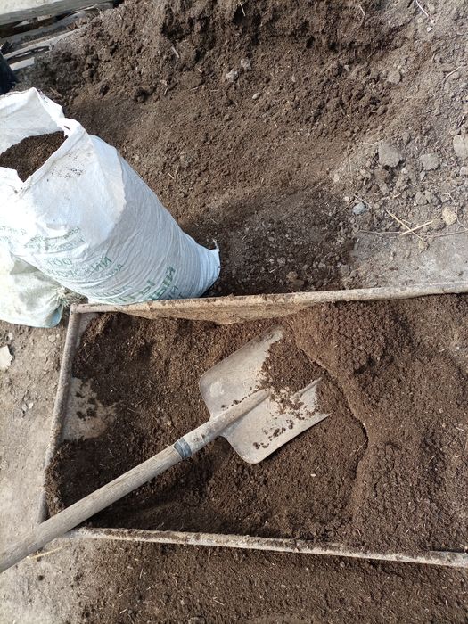 Биогумус. В черте города.