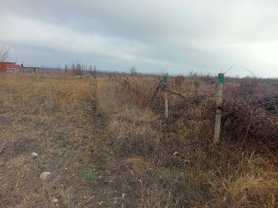 Продава се Земеделски имот в с. Брестник, Област Пловдив -  кв.м за 27000 €/дка - Снимка #1