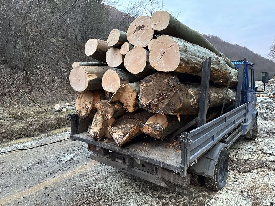 Lemn de foc fag la 3 metri      7 steri