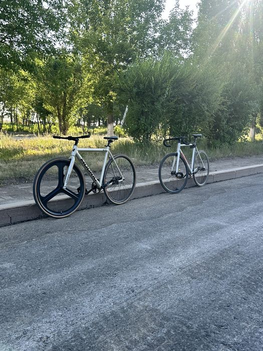 fixed gear ardently arena lite