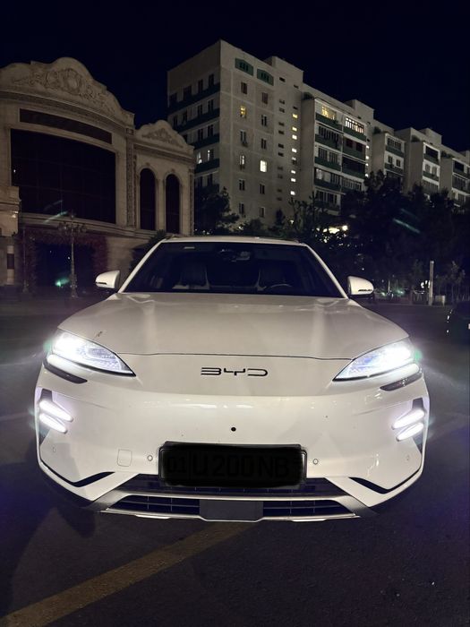 Byd Champion 605