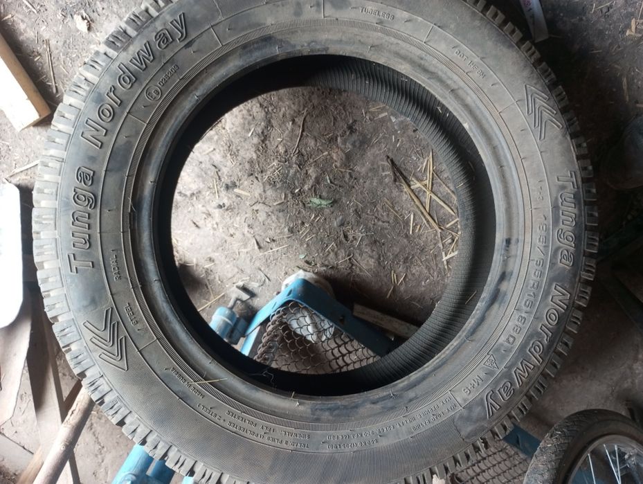 Кшги балон Кам юурган холати жуда яахши сакланган