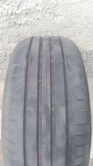 Летни гуми Dunlop bluresponse