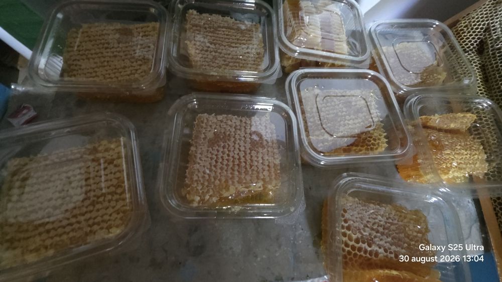 Fagure Cu Miere...Ramă Fagure Cu Miere Întreagă
