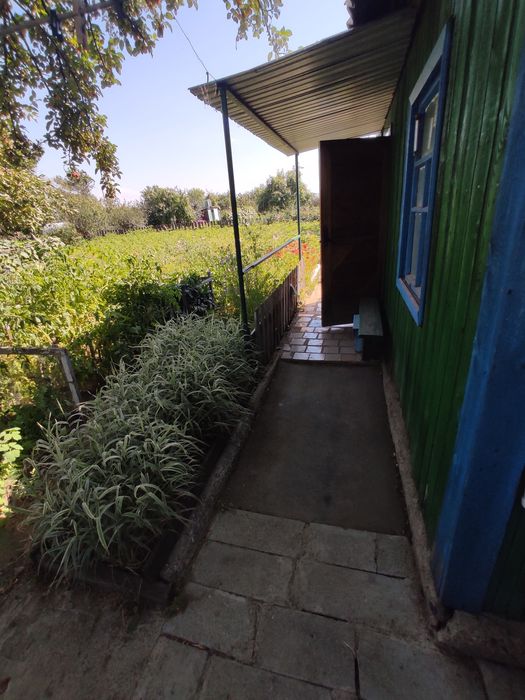 Дача в сообществе РОМАШКА (Сортировка)