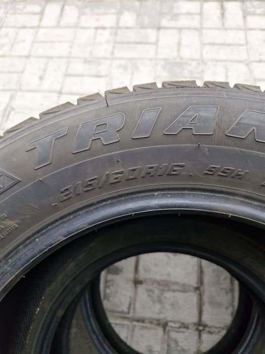 Зимние шины  Triangle