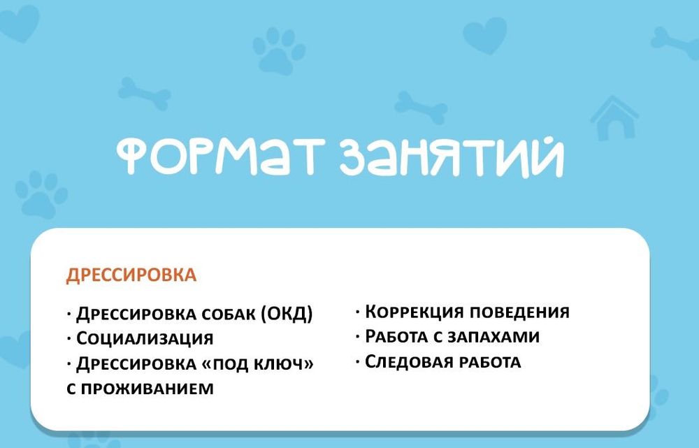 Услуги кинолога.