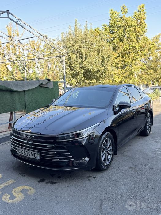 Byd chazor 55 km 2024 yil