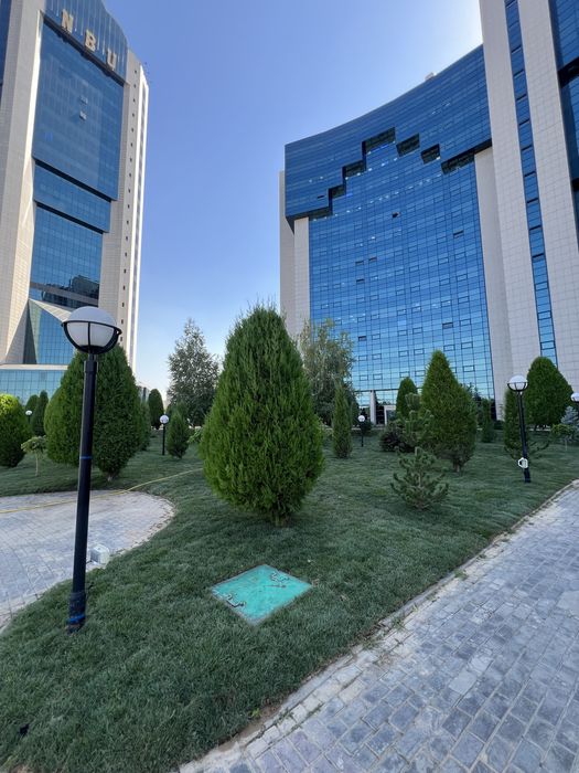 Gazo’n O’ptim cheklanmagan miqdorda birinchi qol