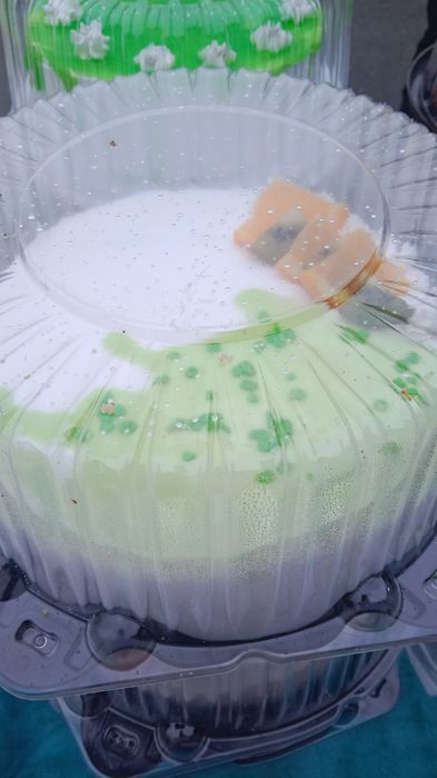 Біз бүкіл шиліге трот апарамыз