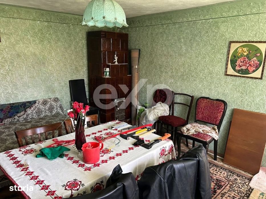 Casa la tara cu teren 3940 mp si livada – zona linistita
