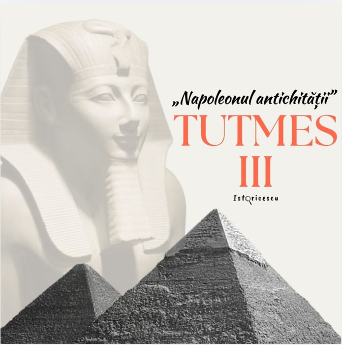 Realizez template-uri, prezentări și proiecte – rapid și profesionist