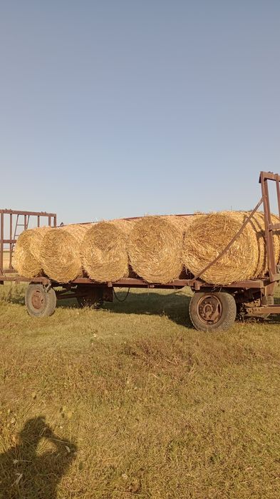 Grâu ,triticale, ovăz,baloți lucernă,fân