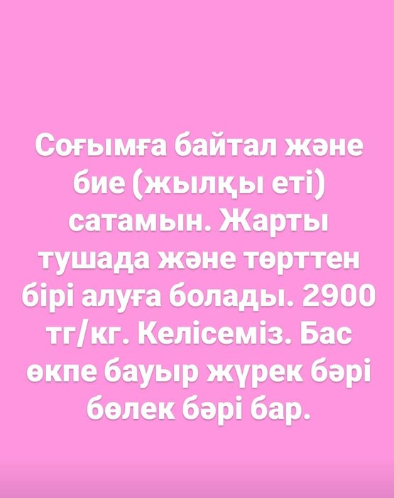 Жылкы ет , мясо конины