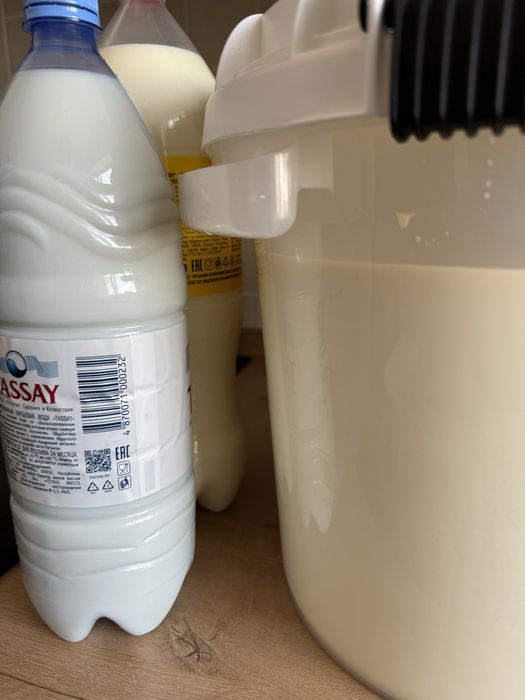 Продам домашнее молоко, сметану, творог, кумыс