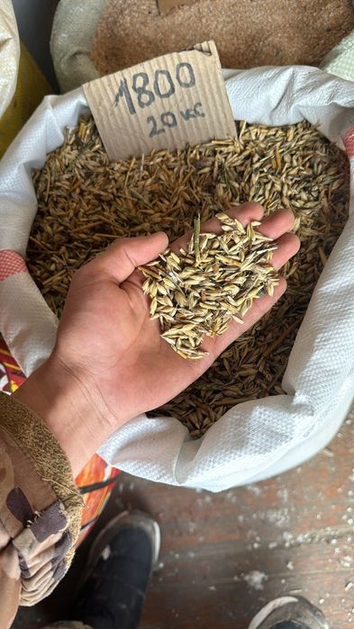 Отходы для баранов и лошадей