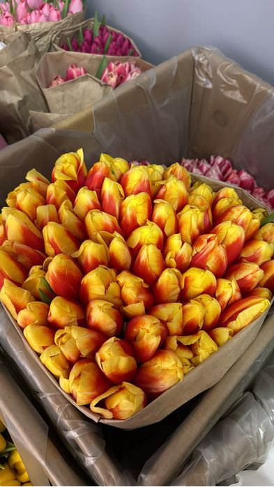 Продам тюльпаны оптом