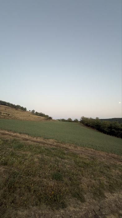 Teren extravilan Hamba 2 parcele 7000mp2