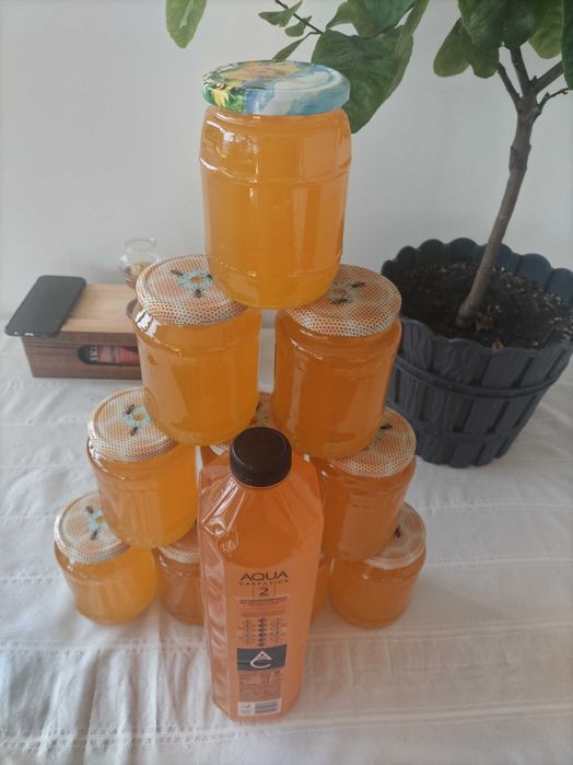 Miere poliflora de albine naturala 100%