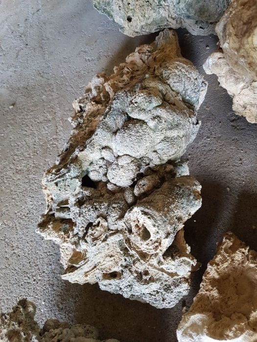 Естествен декоративен камък Бигор