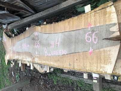 Орех - голями талпи от орех и голями шайби от корен на орех