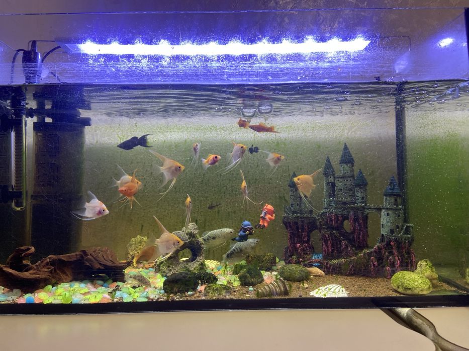 Продам аквариум 120000