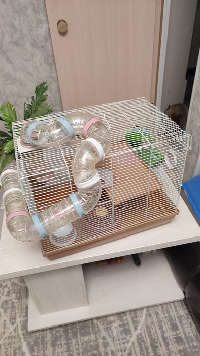 Продам клетку для хомячка.