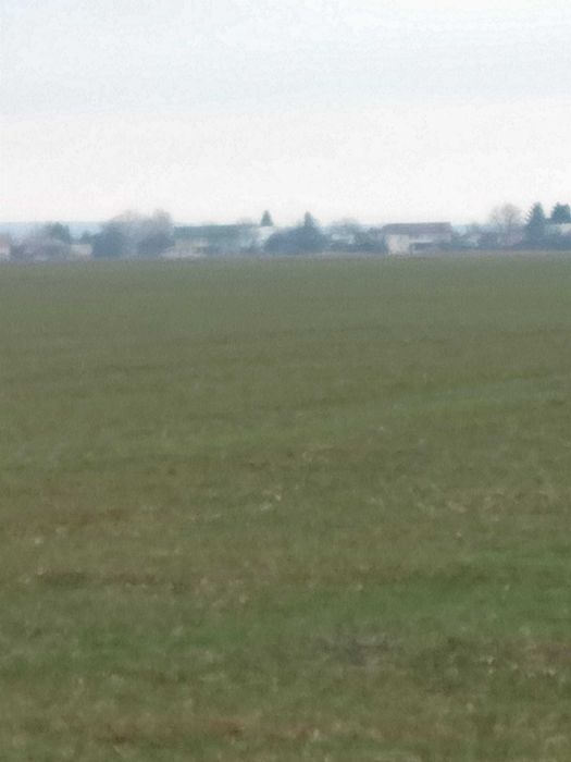 Vand teren intravilan, 14800 mp, str Carpati, Baicoi / PH