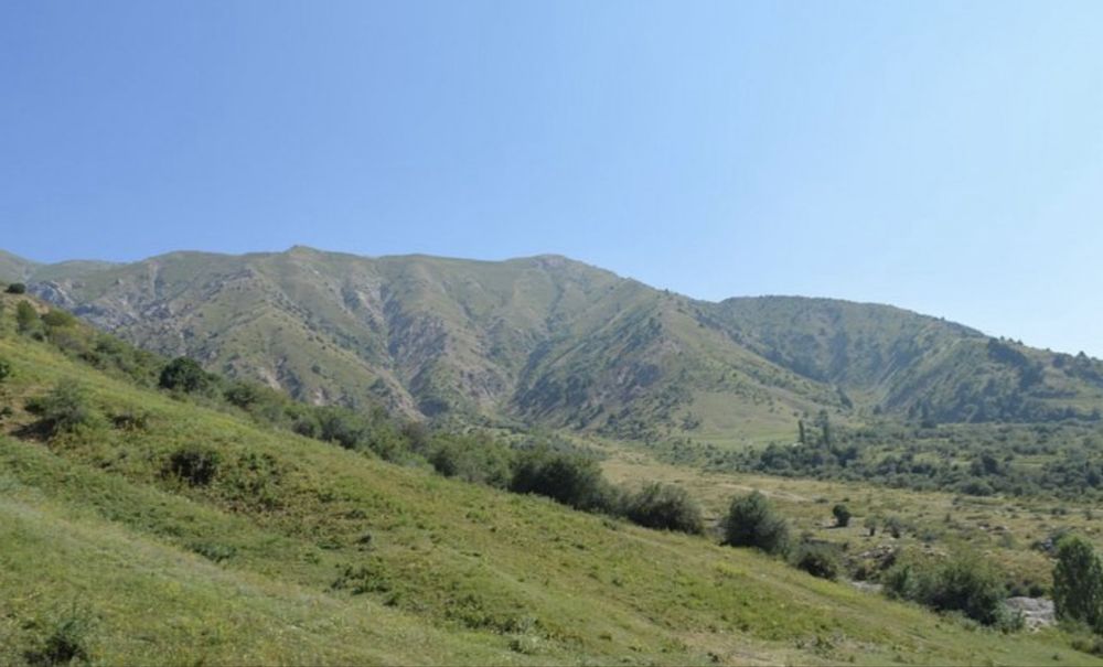 Земельный участок 36 соток - Ходжикент