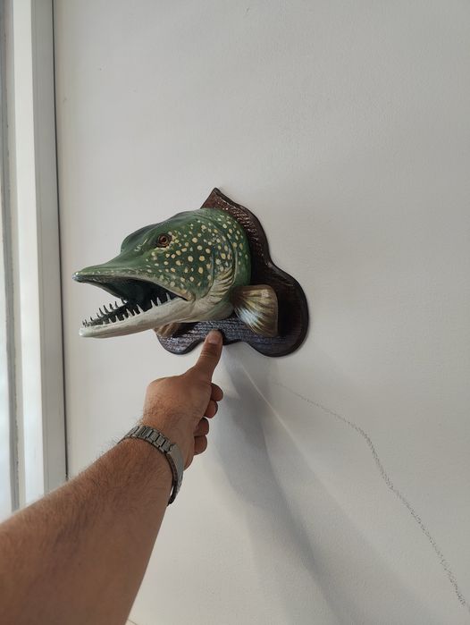 Трофей глава на риба щука