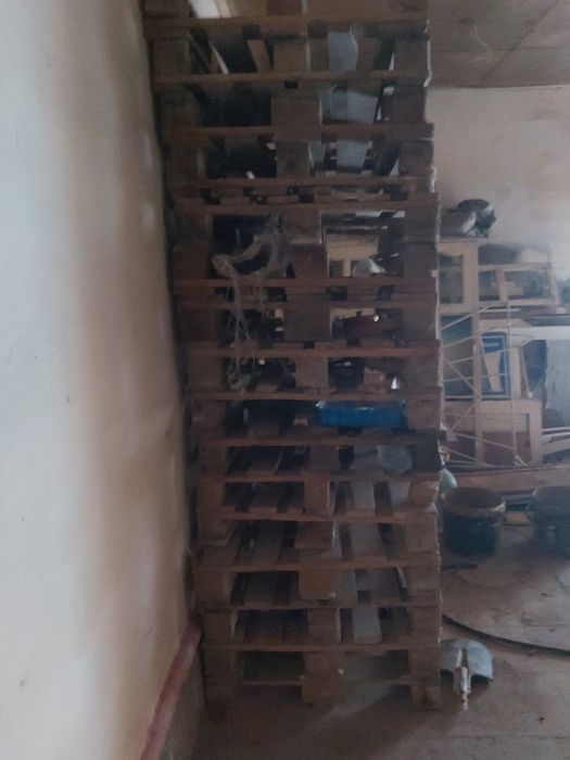 Paddon sotiladi 16 dona