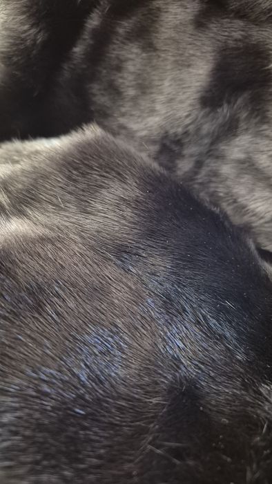 Шуба норковая черная