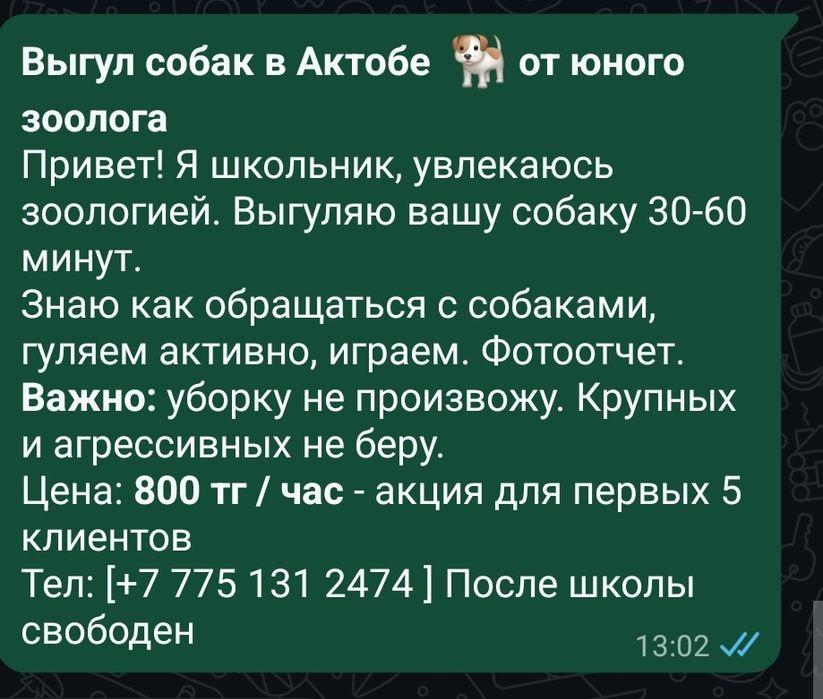 Выгул собак не больших