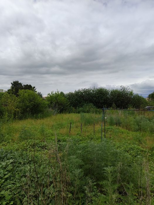 Продам дачу 6 соток