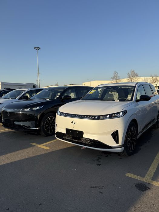 dongfeng 008 gibirid