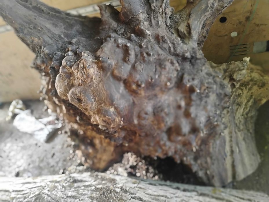 Дървен материал от орех