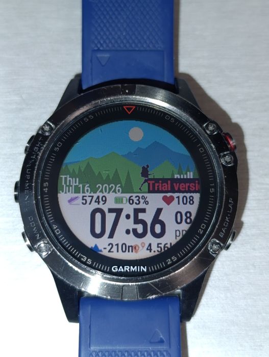 Garmin fenix 5 smartwatch