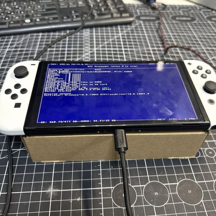 Прошивка и Чиповка Nintendo Switch